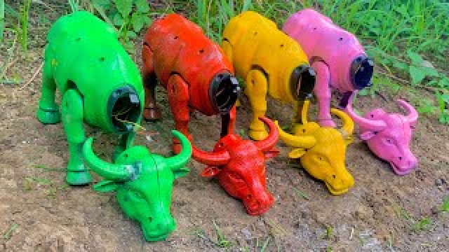 Wow..! Menemukan Dan Merakit Kepala Kerbau Warna Warni,Sapi Moo,Kerbau,Sapi Lucu,Sapu Super.#animals